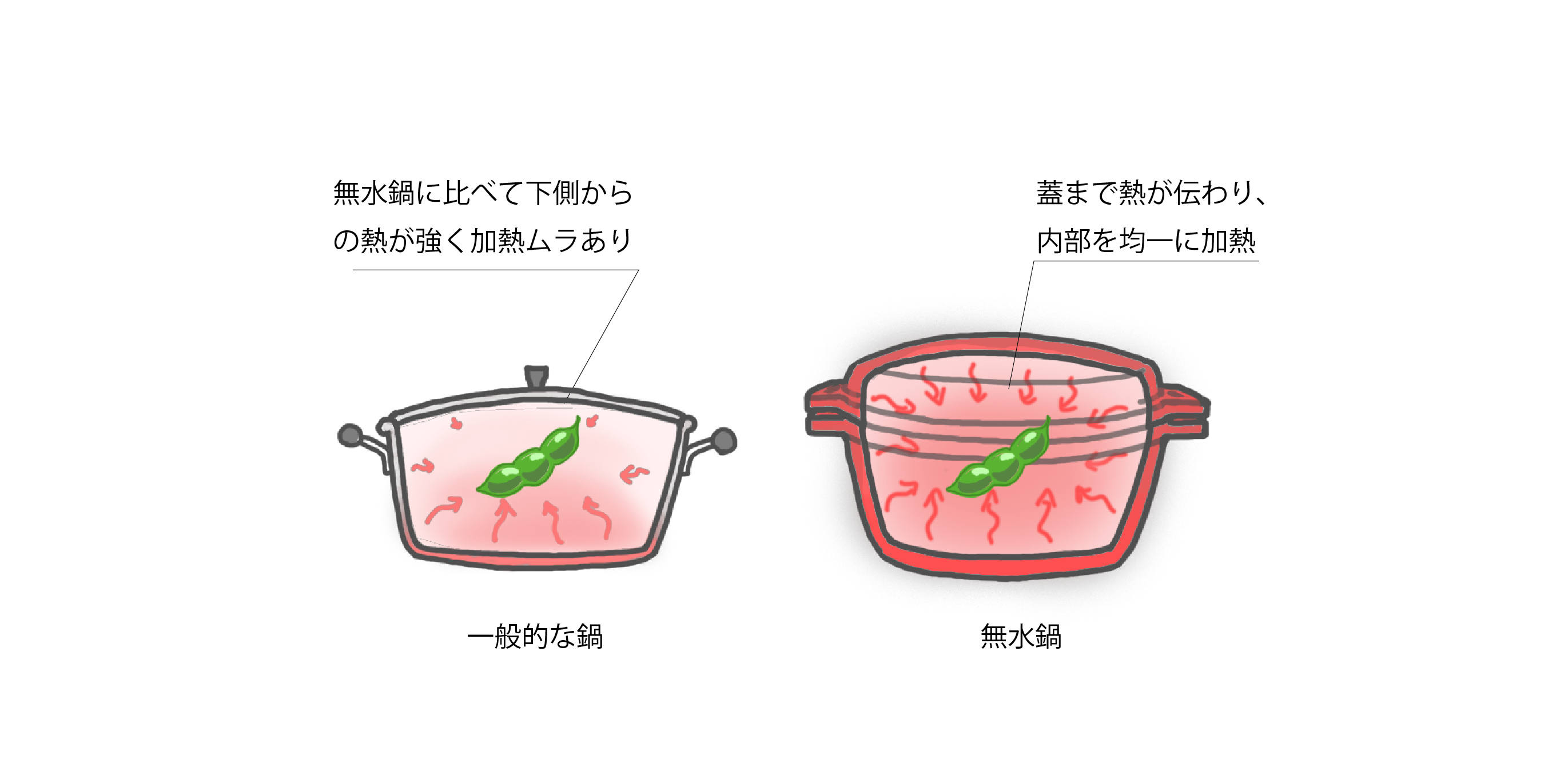 無水料理が美味しい理由